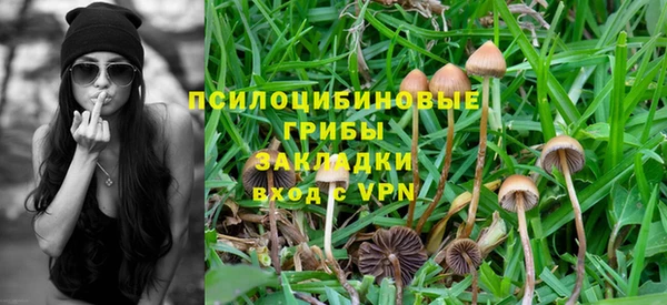 кокс Баксан