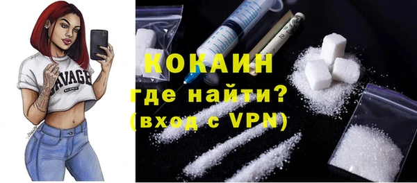 мдпв Елизово