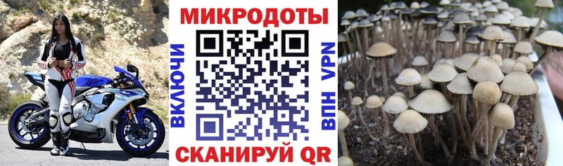 Галлюциногенные грибы мухоморы  Белово 