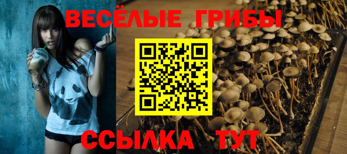 Галлюциногенные грибы GOLDEN TEACHER Белово