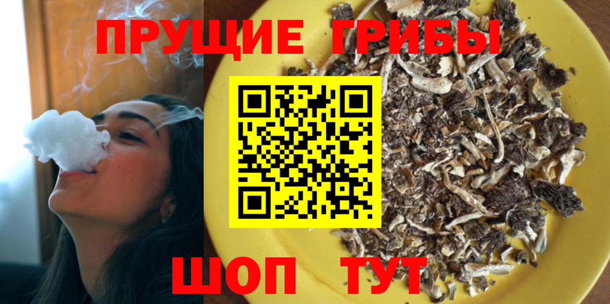 Псилоцибиновые грибы Psilocybine cubensis Белово