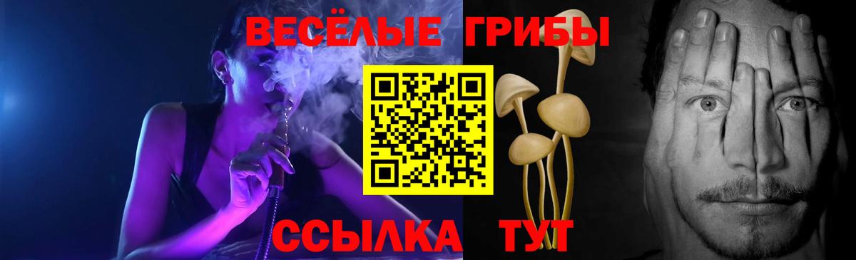 Галлюциногенные грибы прущие грибы  Вход с VPN  Псилоцибиновые грибы Psilocybe  наркошоп  Белово 
