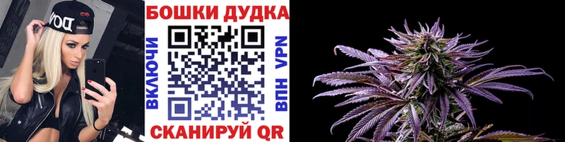 Каннабис OG Kush  Белово 
