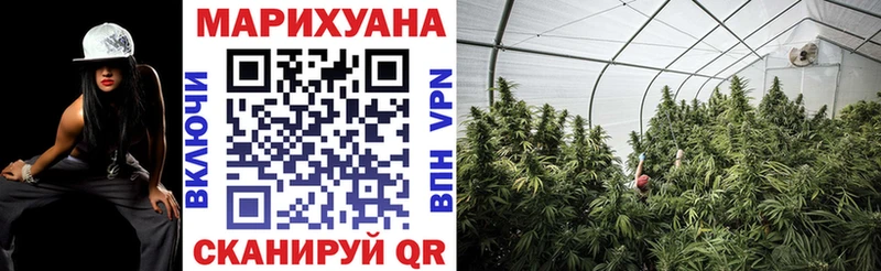 Каннабис Ganja Белово